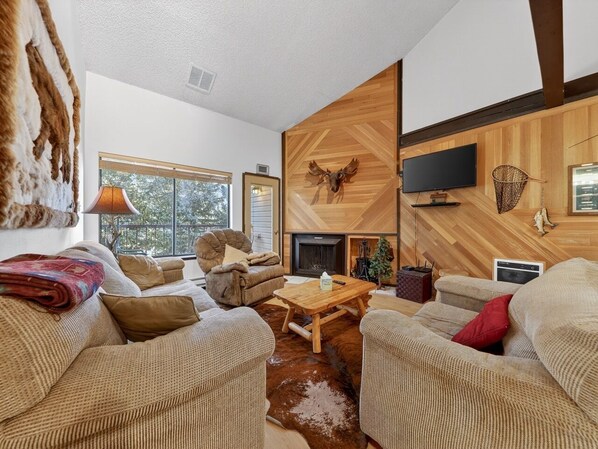 电视、壁炉、DVD 播放器