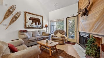 Télévision, cheminée, lecteur de DVD