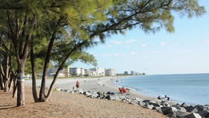 Een strand met een rotsachtige kustlijn, bomen en gebouwen op de achtergrond.