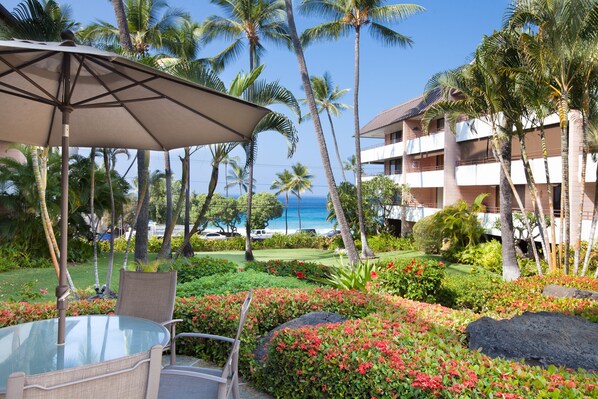 A resort with a pool area, palm trees, and a view of the ocean.