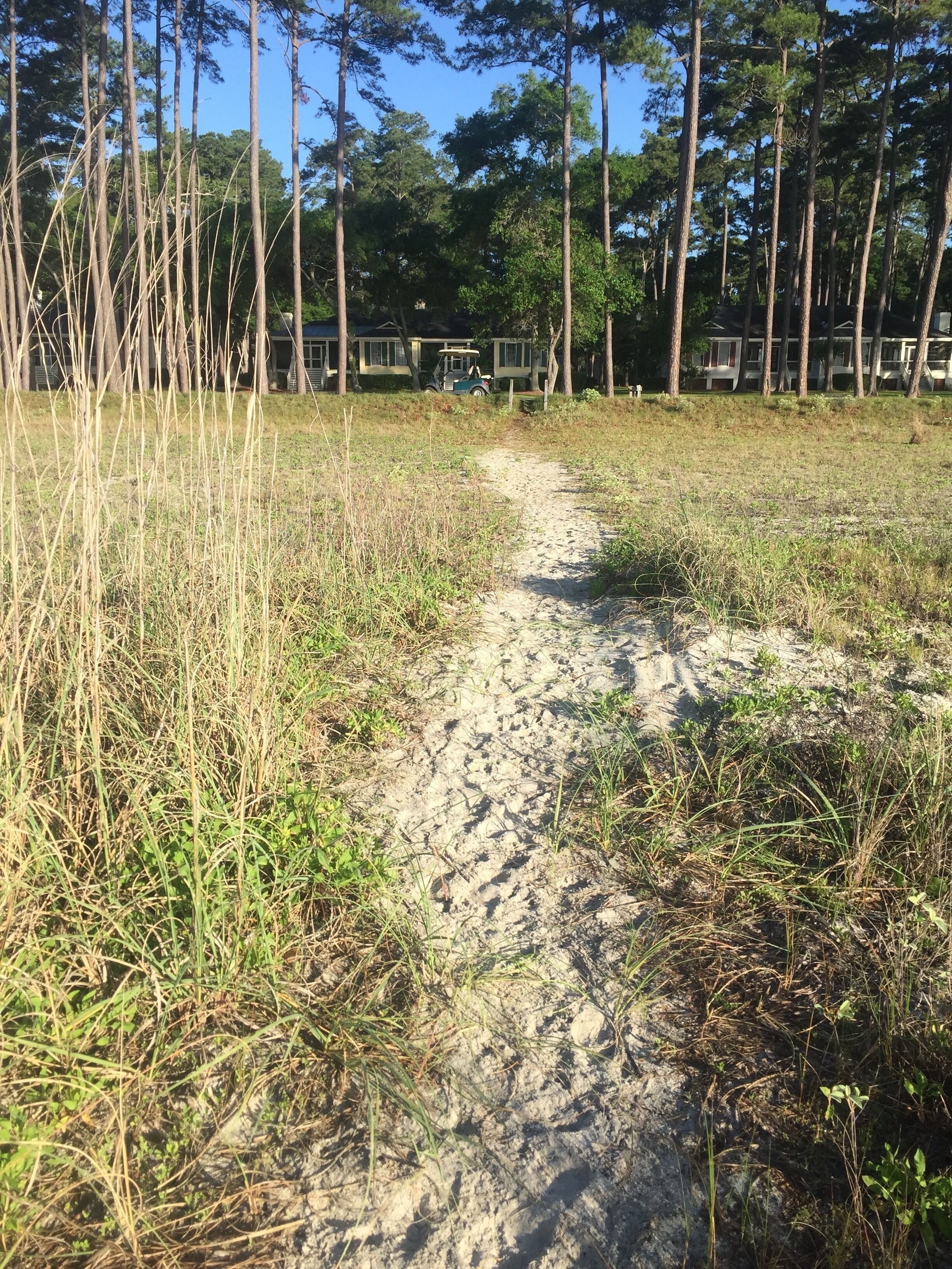 A dirt path leading through a grassy area with tall trees and a row of cabins in the background.