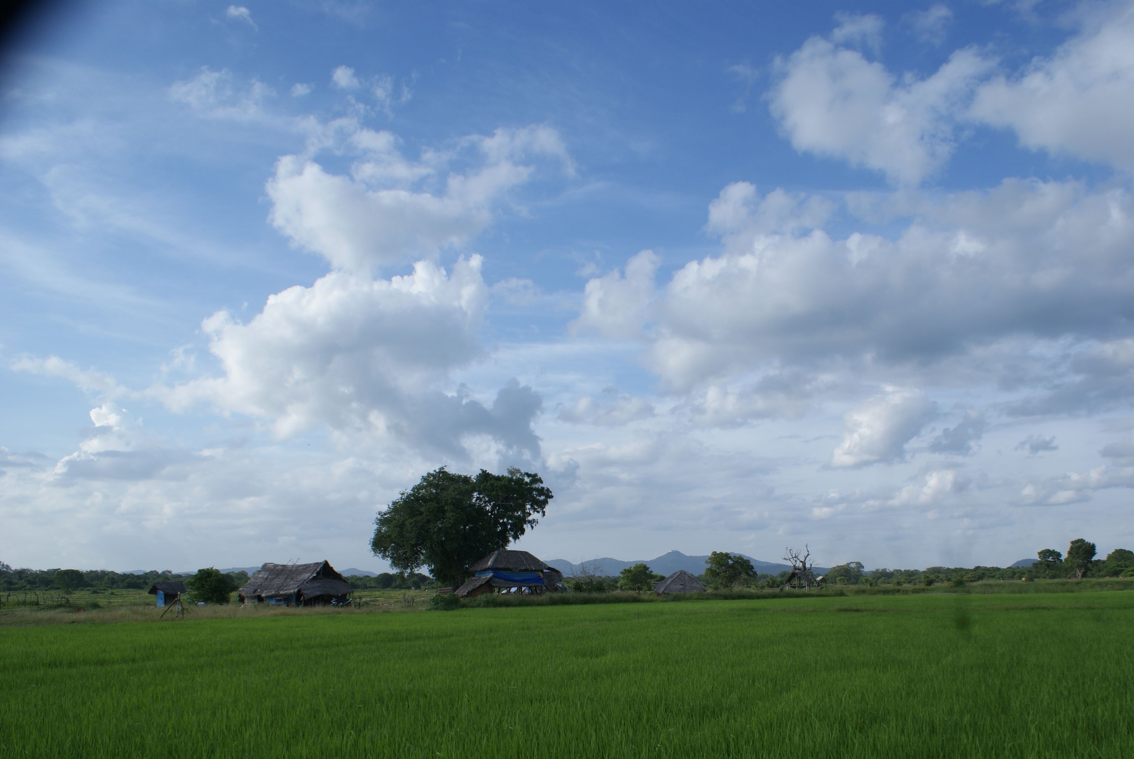 Ngoại thất