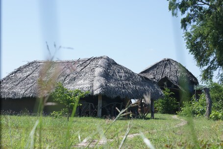 Diseño del edificio