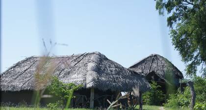 Jungle House Yala