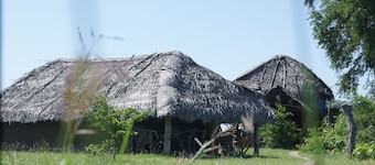 Jungle House Yala