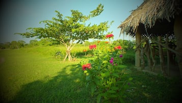 Vista al lago