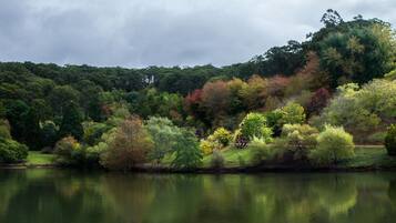 A calm lake surrounded by dense forest with a variety of trees and a clear sky.