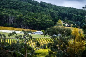 Mountain view - Esto House (Crafers)