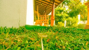 A grassy area with a metal structure and a white wall. - Talalla Sea Anemone Hotel (Talalla)