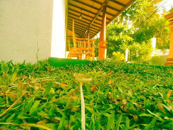 Vue sur le jardin
