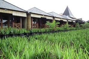 Garden - Puri Karang Besakih (Rendang)