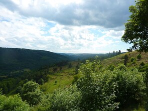 A lush green valley with rolling hills and a partly cloudy sky.