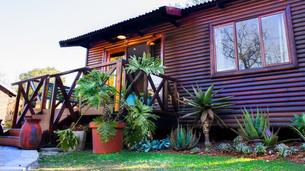 A wooden cabin with a porch, surrounded by various potted plants and succulents. - Hesperus Street (Alberton)