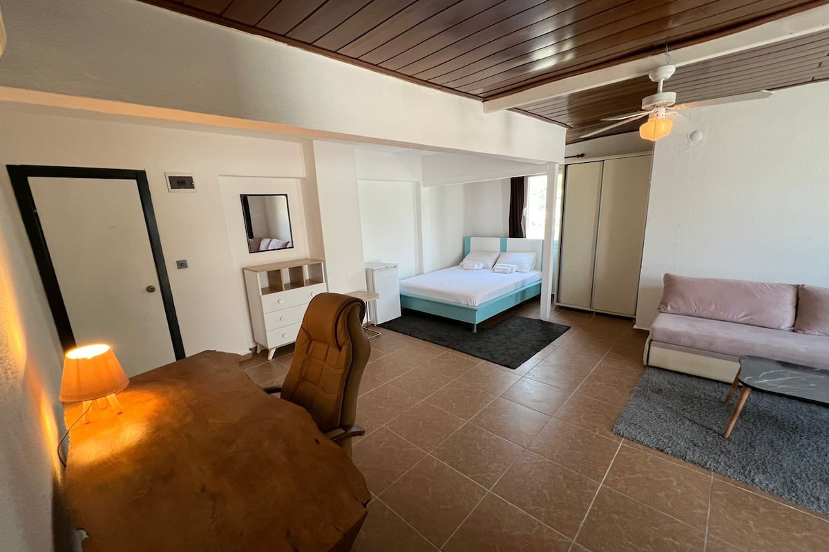 1 habitación, minibar, escritorio y camas plegables/adicionales