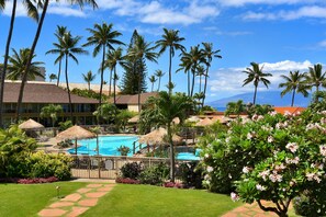 Condo, 1 Bedroom | Pool | Outdoor pool