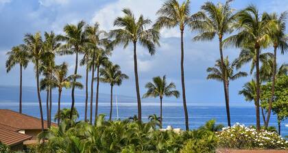 Maui Kaanapali S #a317 Studio Bedroom Condo by RedAwning