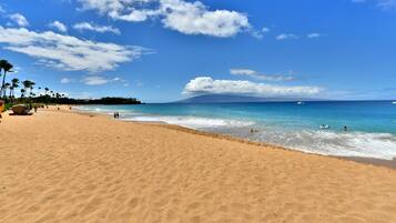 Studio | Beach