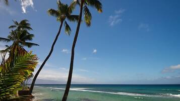 Condo, 2 Bedrooms | Beach | Beach nearby