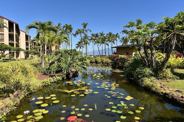 Condo, 1 Bedroom | Property grounds