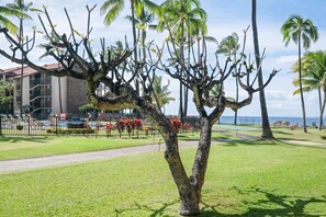 Property grounds - Papakea #g106 2 Bedroom Condo by RedAwning (Lahaina)