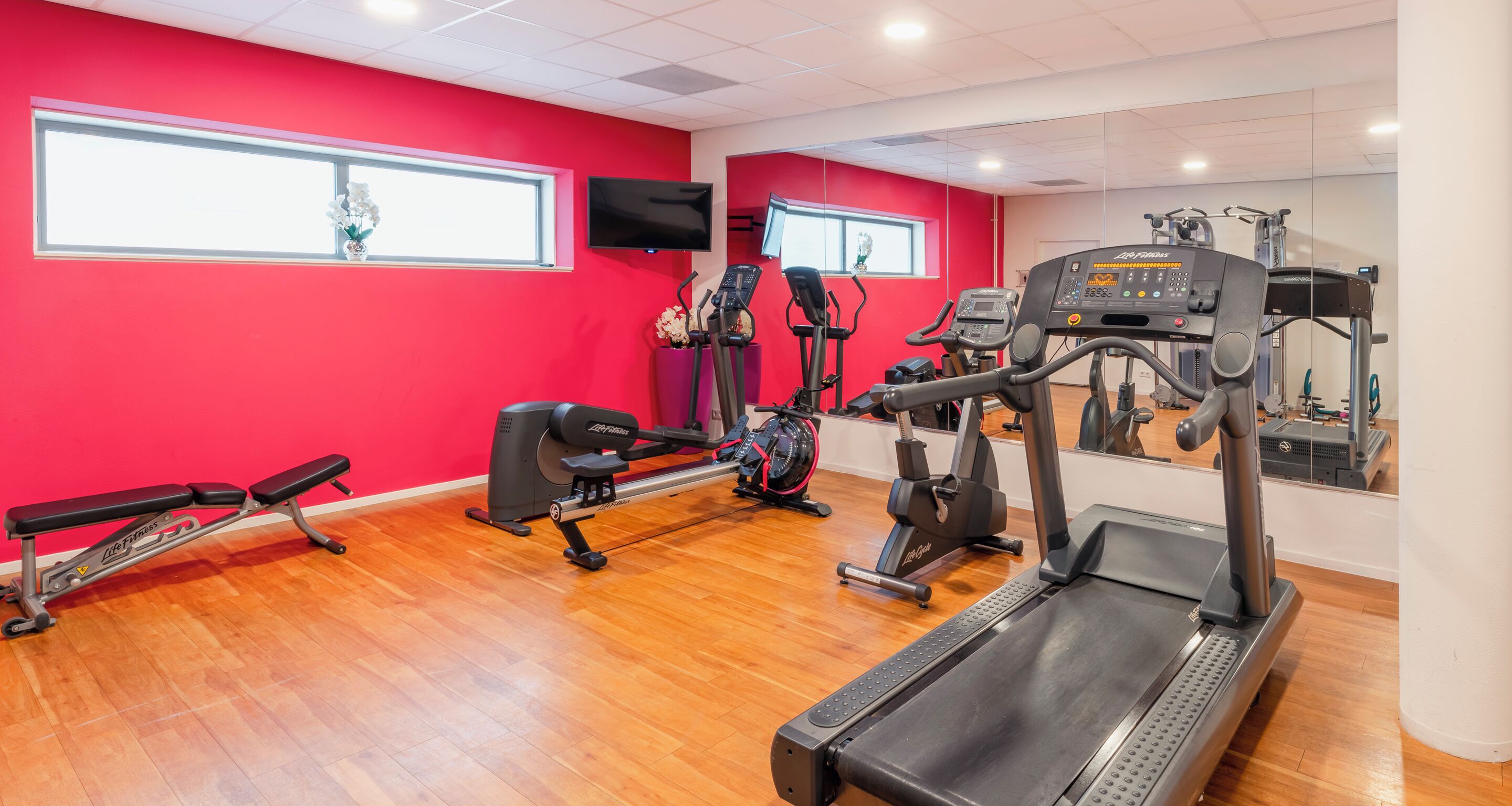 Ein Fitnessraum mit Cardiogeräten, einer Bank und einem Fernseher an der Wand.