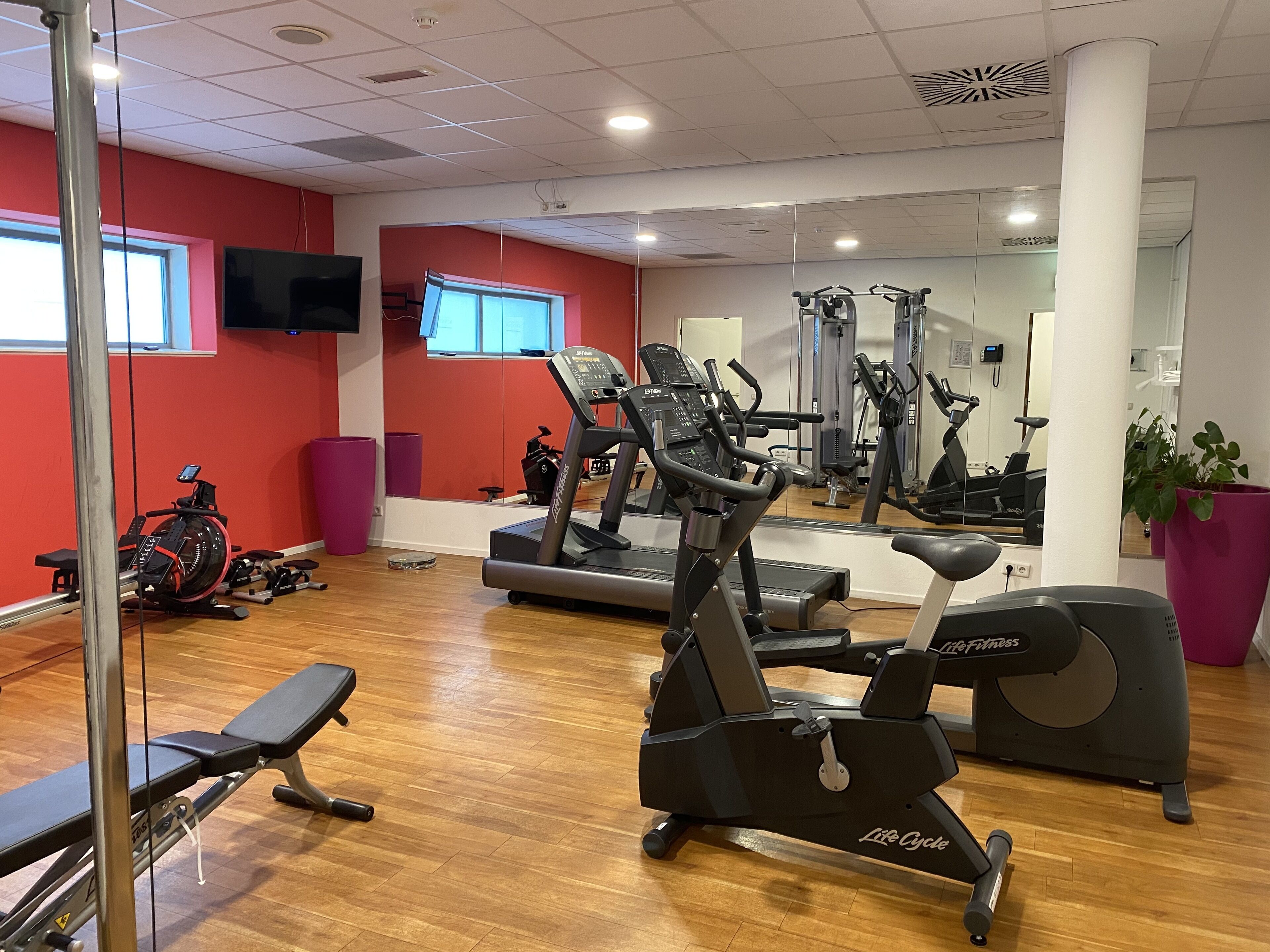 Une salle de sport équipée de machines de cardio, d’un banc et d’un grand miroir.