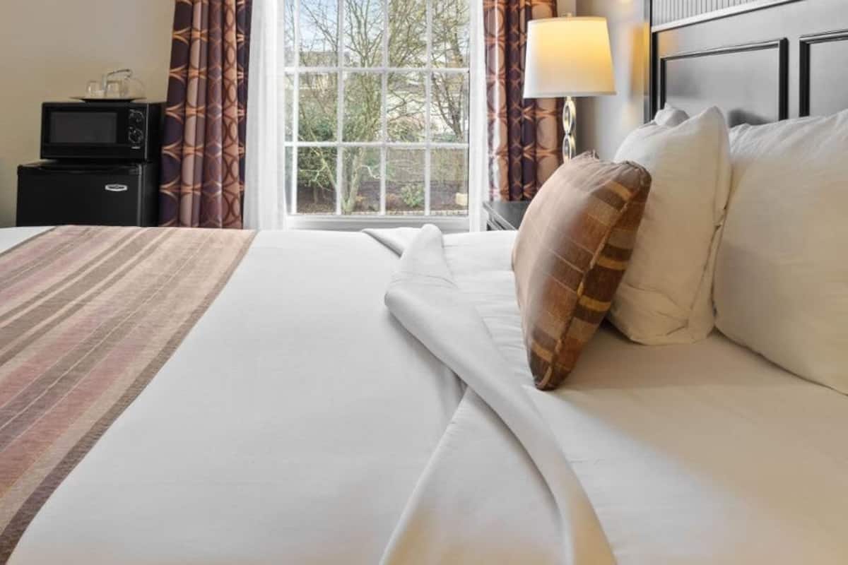 A hotel room with a large bed, a bedside table with a lamp, a TV, and a window with curtains.