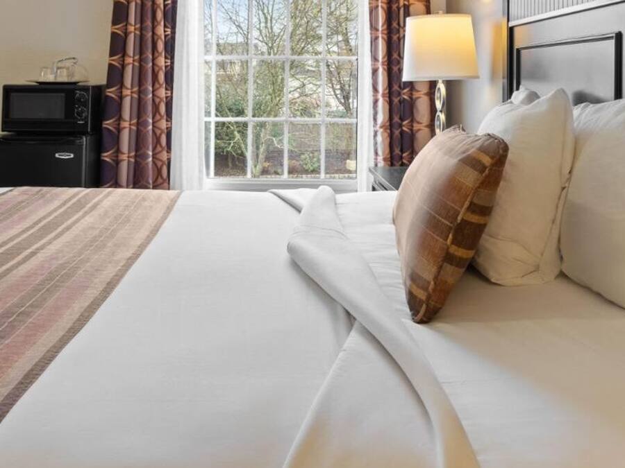 A hotel room with a large bed, a bedside table with a lamp, a TV, and a window with curtains.