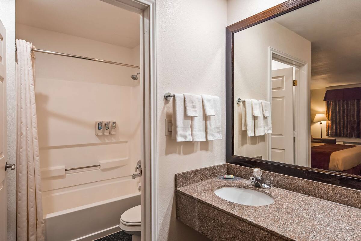 A bathroom with a shower, toilet, sink, and a large mirror.