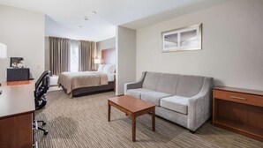 Una habitación de hotel con una cama, un sofá, un escritorio y una silla.
