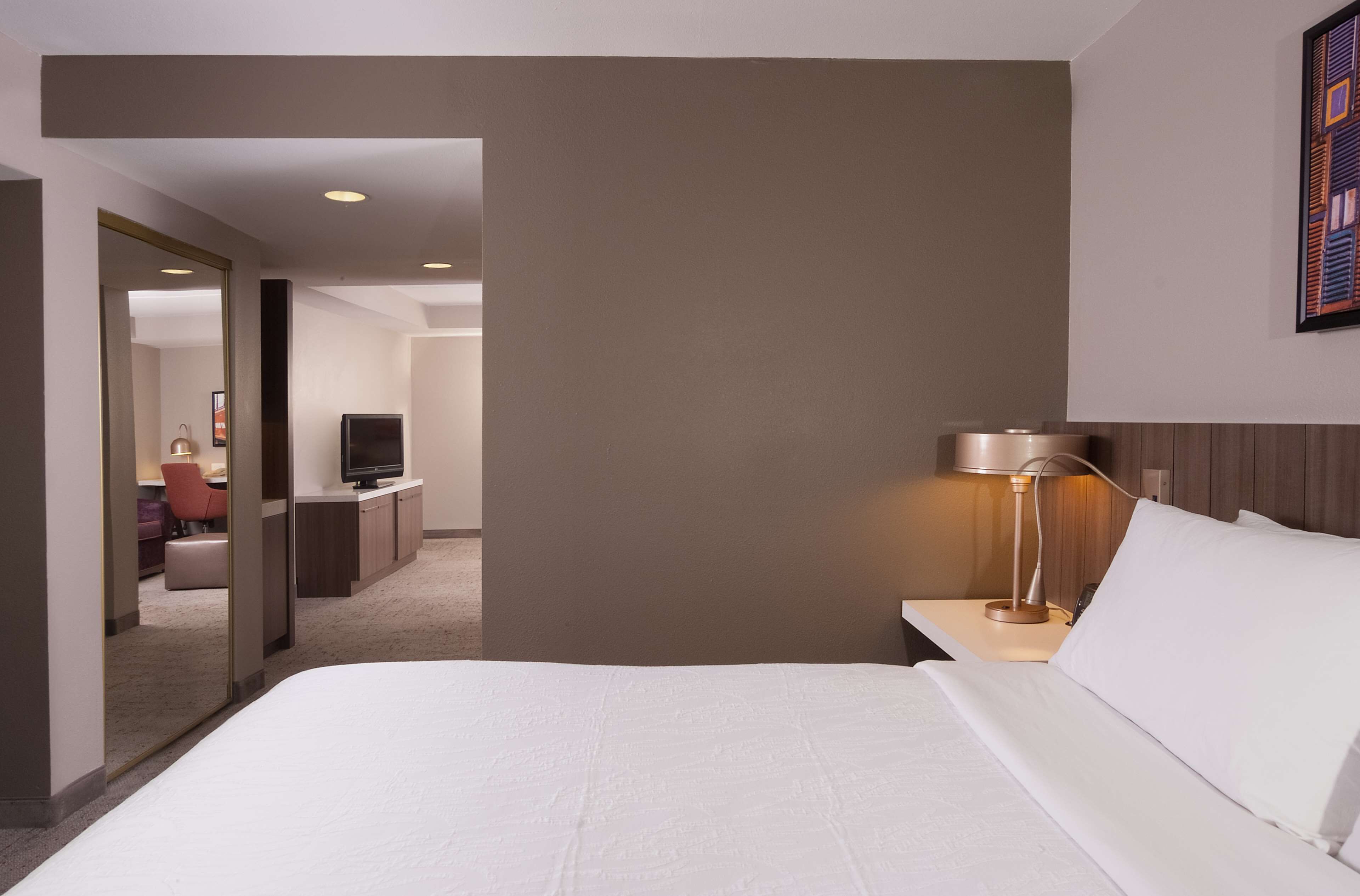 Photo - Hilton Garden Inn Atlanta Airport/Millenium Center