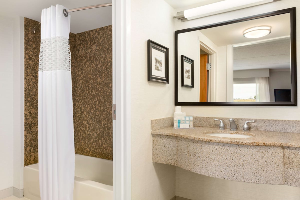 combined shower/bathtub, hair dryer, towels, soap