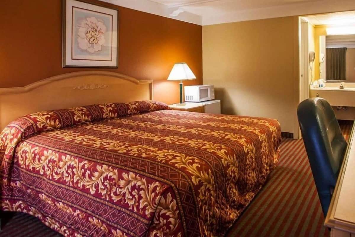A hotel room with a large bed, a bedside lamp, a microwave, a desk with a mirror, and a chair.
