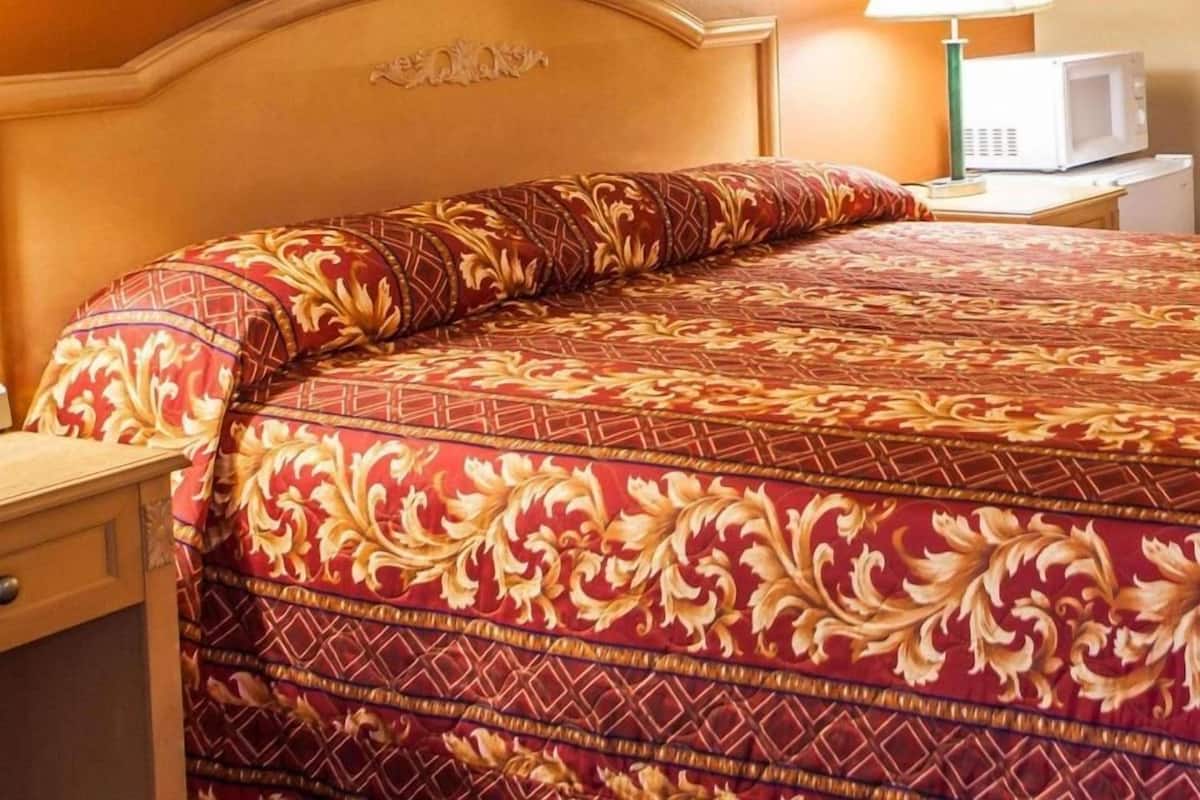 A hotel room with a bed, a nightstand, a lamp, and a framed picture on the wall.