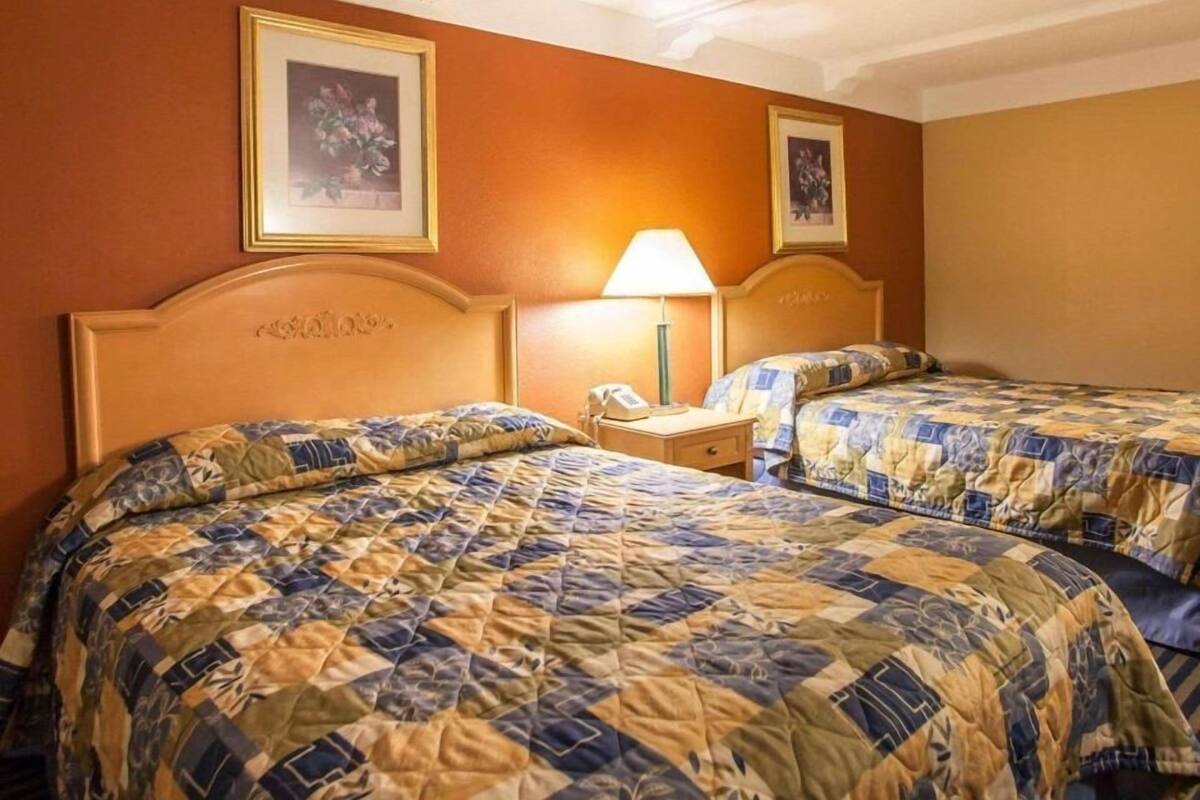 A hotel room with two beds, each with a patterned bedspread, a bedside table with a lamp, and framed pictures on the wall.