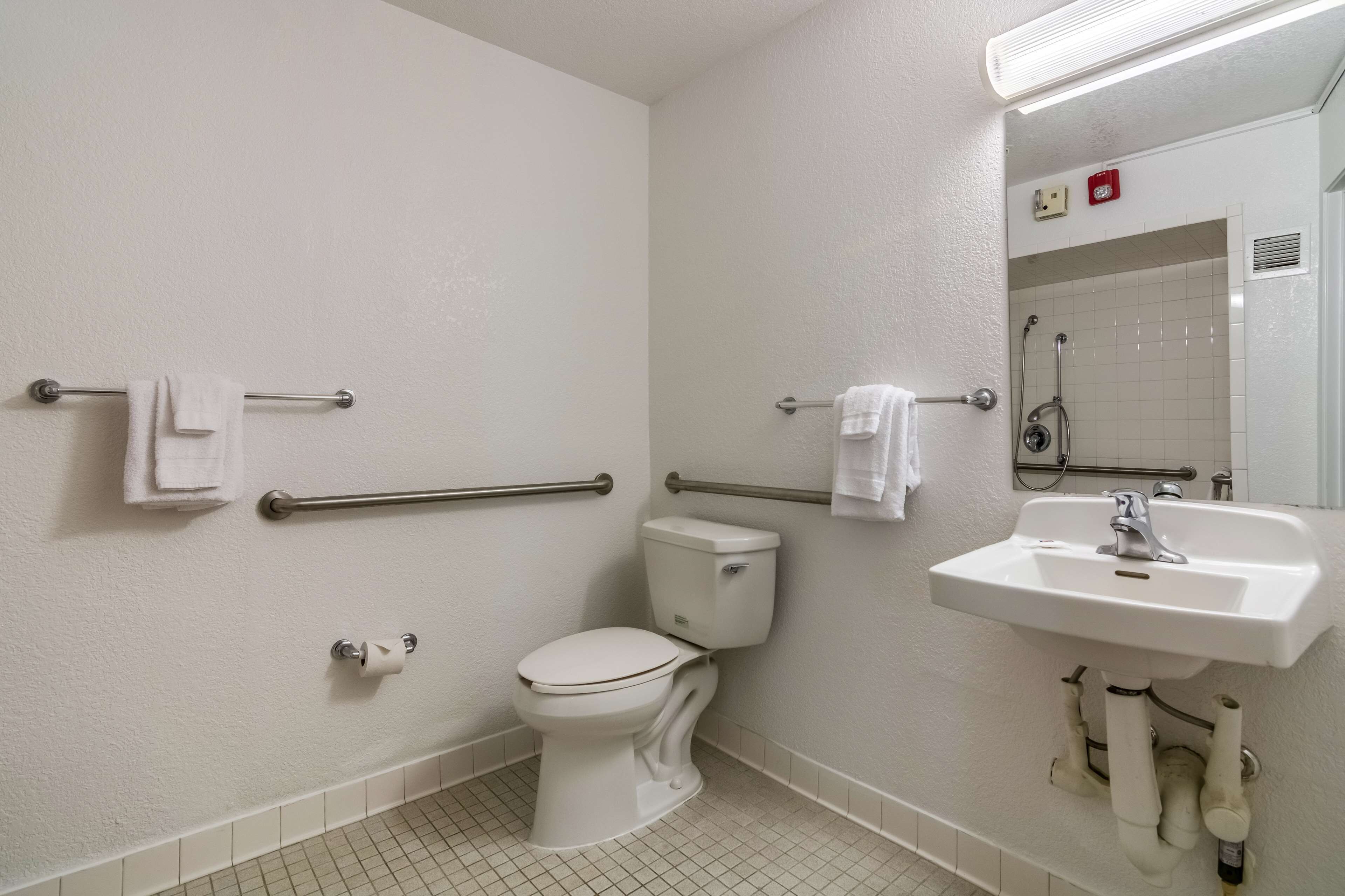 A bathroom with a toilet, handrails, a sink, and a mirror.
