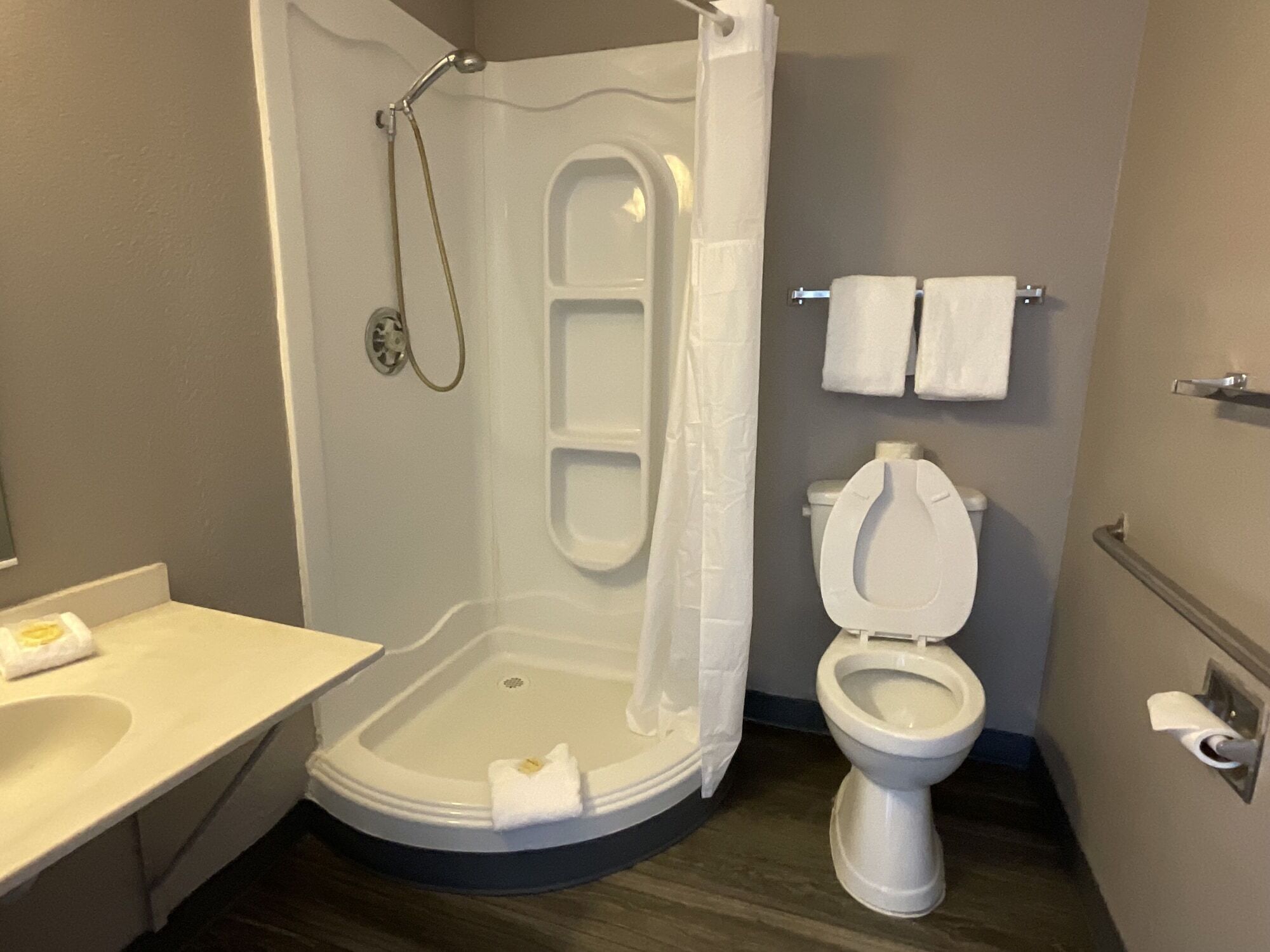 A bathroom with a shower enclosure, a toilet, and a sink.