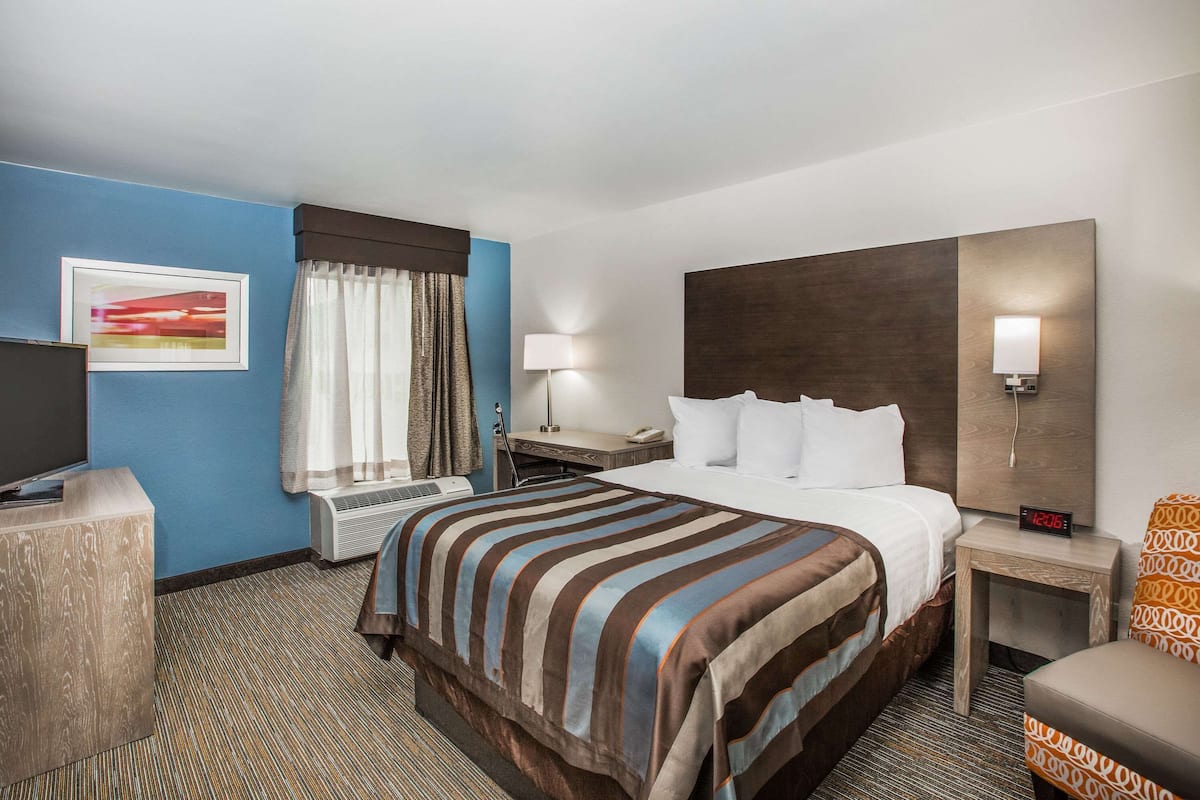 A hotel room with a large bed, a desk, a chair, a TV, and a bedside table with a lamp.