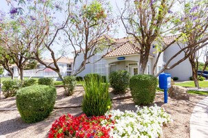 Área de parrillas y picnic