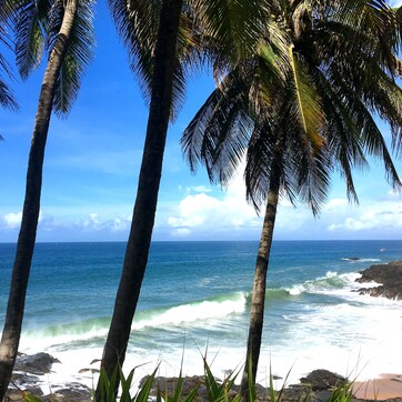 A beach with palm trees and ocean waves.