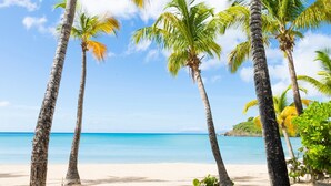 A beachside dining setup with a table set for two, surrounded by palm trees and a view of the ocean. - Carlisle Bay (Carlisle Bay)