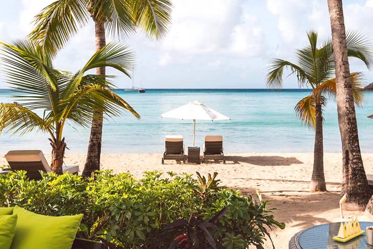 A beach with palm trees, a white umbrella, and two lounge chairs.
