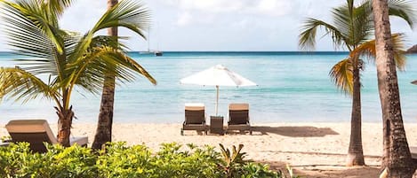 Vue sur la plage ou l’océan