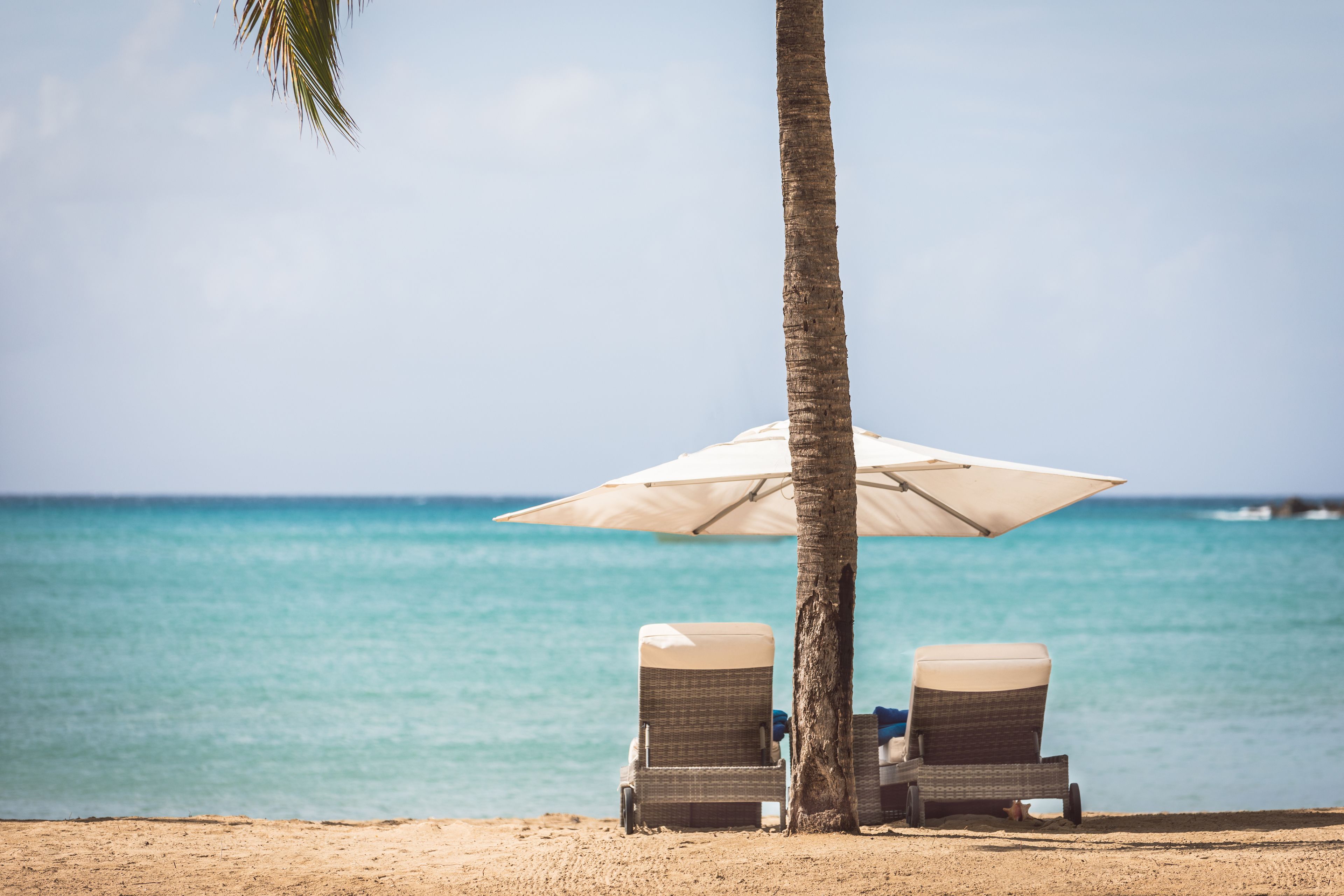 Playa privada, tumbonas, sombrillas y toallas de playa