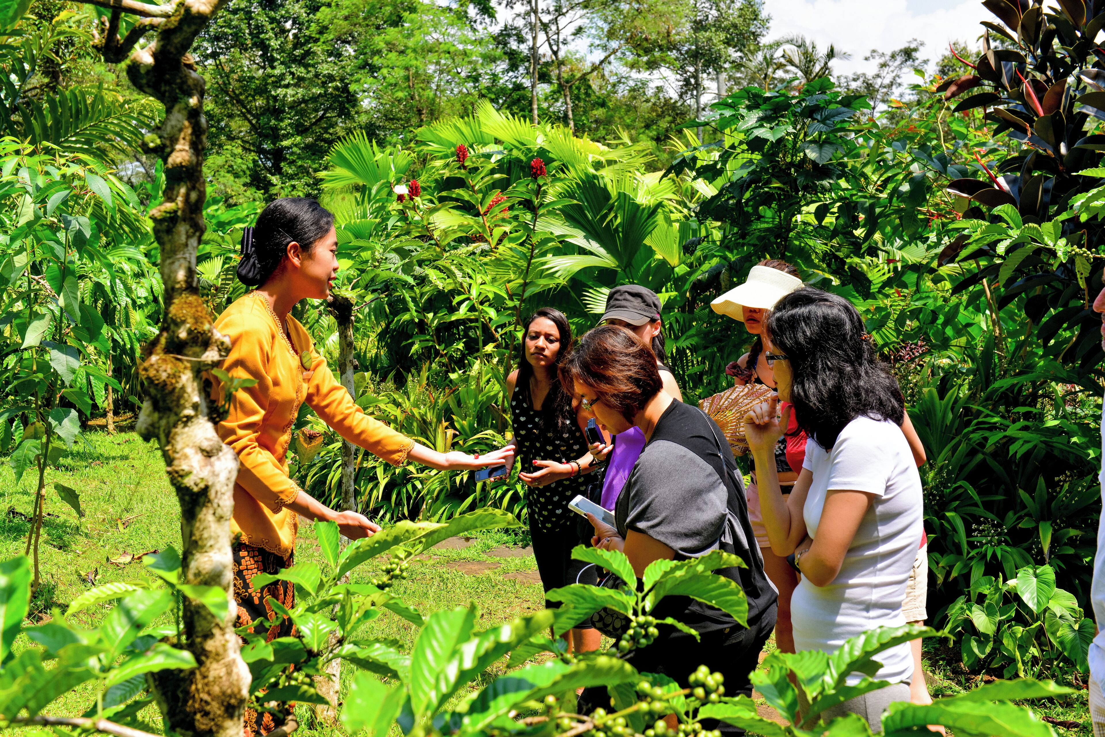 A group of people in a lush garden with dense foliage and a variety of plants.