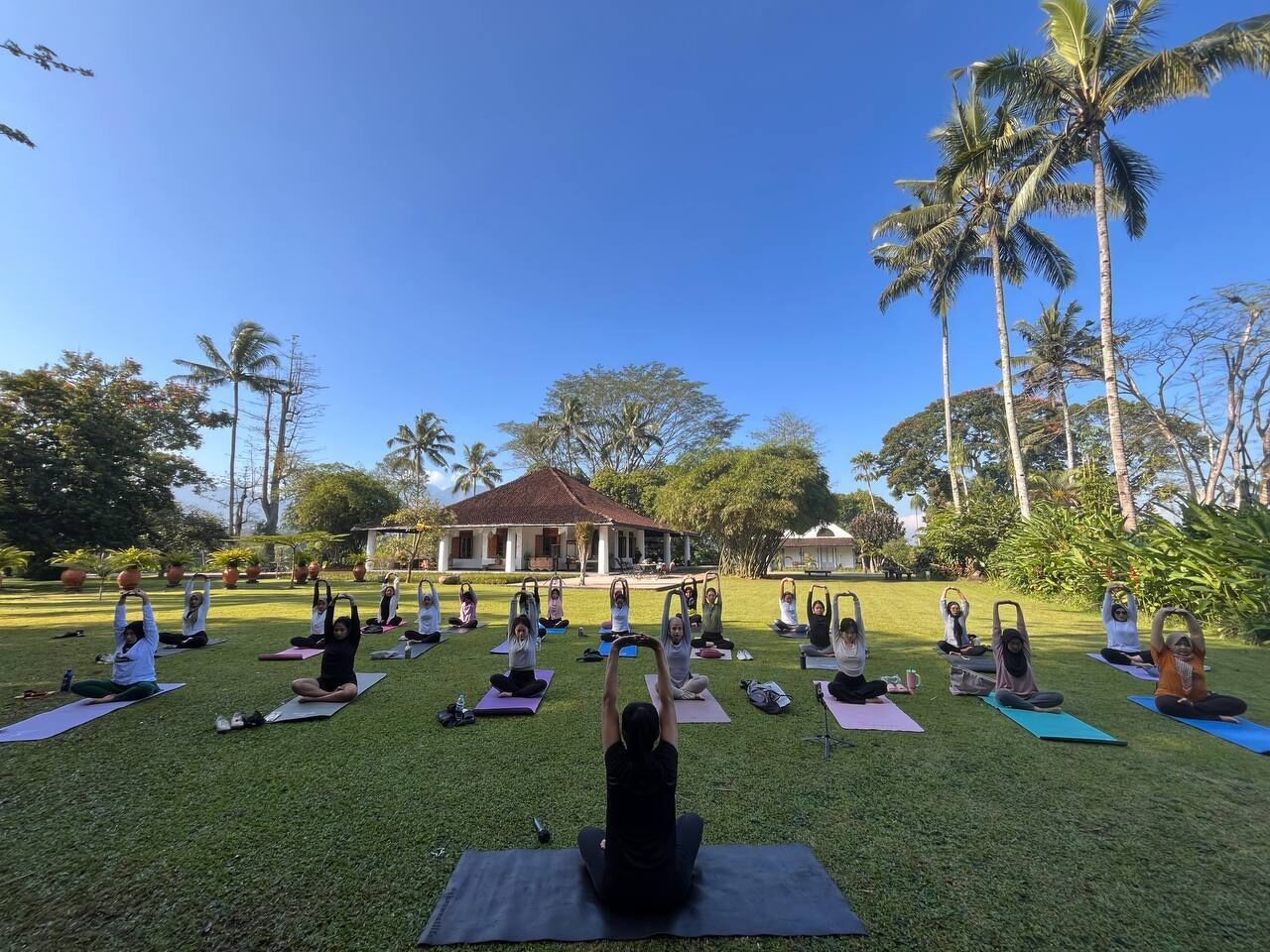 Un grupo de personas practicando yoga sobre esterillas en un espacio al aire libre, con un edificio al fondo.