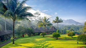 A lush garden with palm trees, a thatched-roof building, and a mountain in the background. - MesaStila Resort and Spa (Pringsurat)