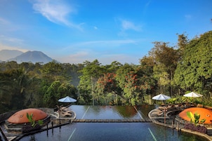 Outdoor pool, open 8:00 AM to 6:00 PM, pool umbrellas, sun loungers
