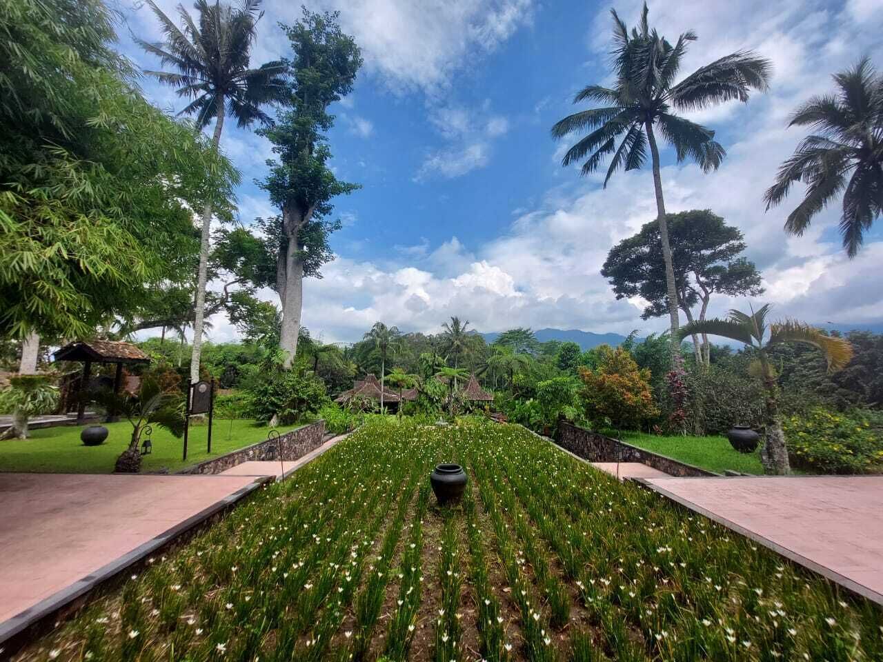 A garden with a pathway, palm trees, and a gazebo.