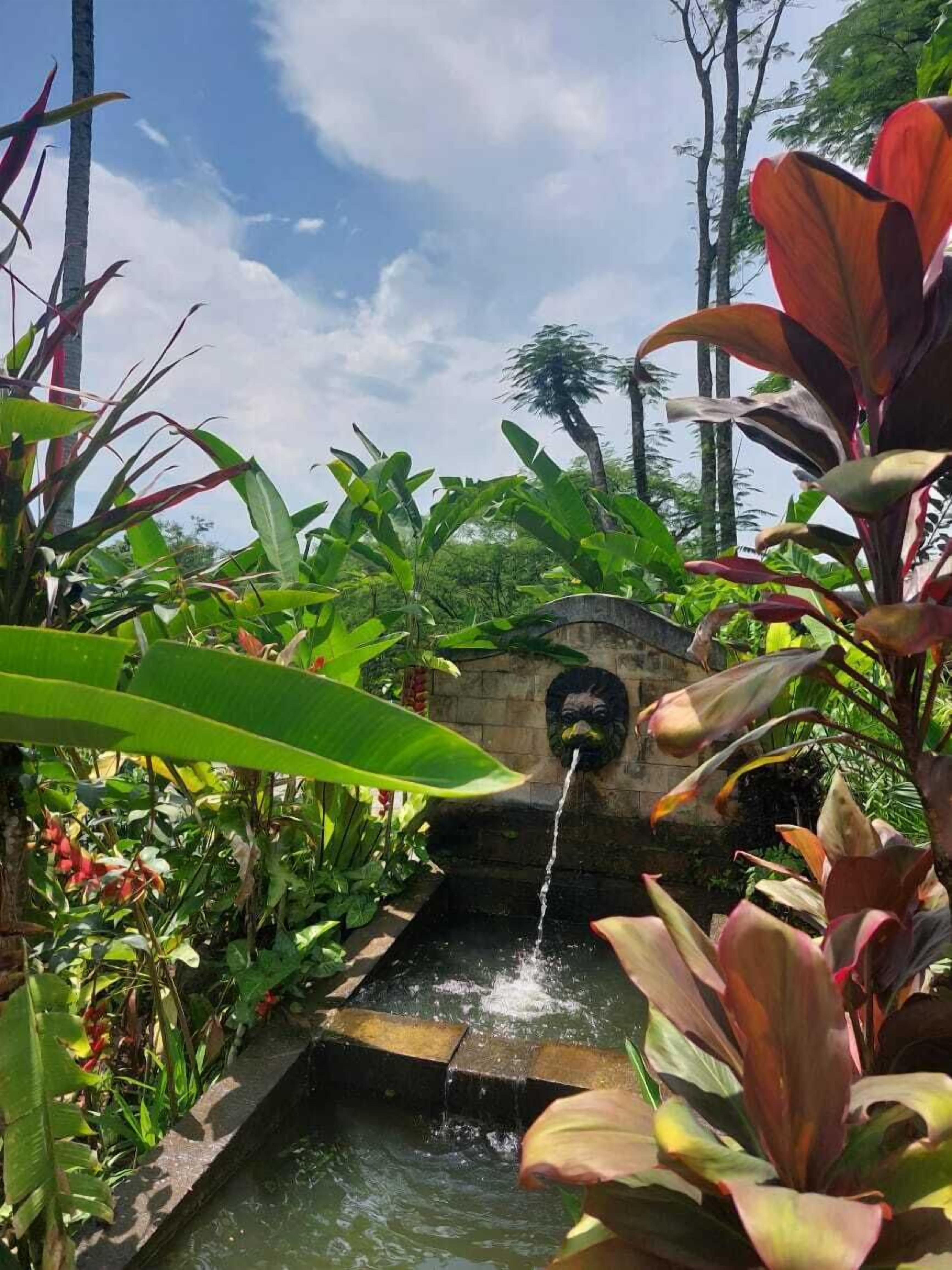 Une petite cascade agrémentée d’une végétation tropicale luxuriante.